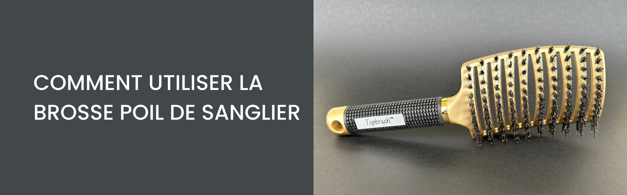 brosse poil de sanglier