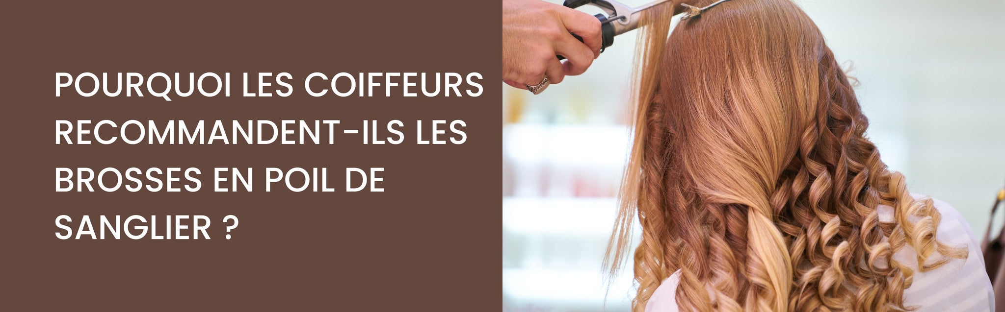 brosse poil sanglier