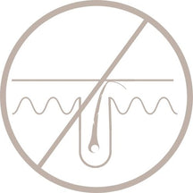 topbrush